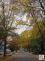 Click to see YIMG_3713.JPG
