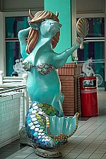 Click to see YGD4F0148.JPG