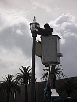 Click to see YP3280026.JPG