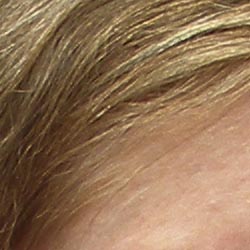 Sony DSC-T33 digital camera image