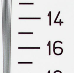 Sony DSC-T33 digital camera image