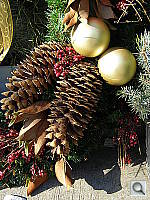 Click to see YPC050247.JPG
