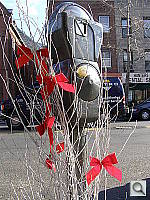 Click to see YPC050263.JPG