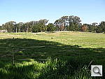 Click to see YP4160874.JPG