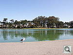 Click to see YP4160884.JPG