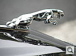 Click to see YP7020959.JPG
