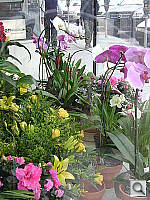 Click to see YDSC07035.JPG