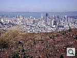 Click to see YDSC07065.JPG