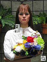 Click to see SX100ISOUTBCON1.JPG