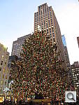Click to see ytree.JPG