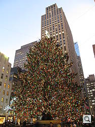 Click to see ytree.JPG