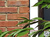 Click to see SX20ISFARWTDT.JPG