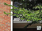 Click to see SX20ISFARWTT.JPG