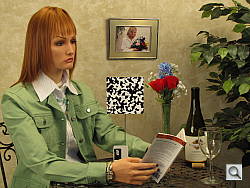 Click to see SX20ISINBFSP0.JPG