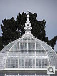 Click to see YIMG_0190.JPG