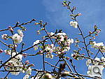 Click to see YIMG_0193.JPG