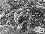 Click to see YIMG_0196.JPG