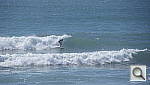 Click to see YIMG_0305.JPG