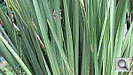 Click to see YIMG_0136.JPG