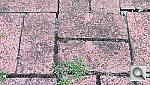 Click to see YIMG_0139.JPG