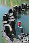 Click to see YIMG_0159.JPG