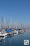 Click to see YIMG_0162.JPG