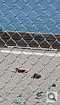 Click to see YIMG_0167.JPG