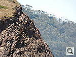Click to see YP6140152.JPG