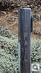 Click to see YP6140159.JPG