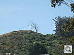 Click to see YP6170184.JPG