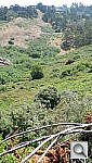 Click to see YP6170189.JPG