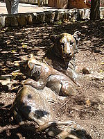 Click to see YDSC00358.JPG