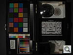 Click to see T10LL00803.JPG