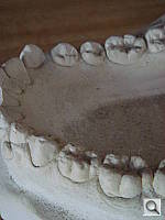 Click to see YDSC00430.JPG