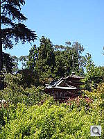 Click to see YDSC00443.JPG