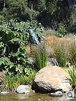 Click to see YDSC00449.JPG
