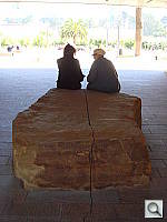 Click to see YDSC00450.JPG