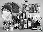 Click to see T100hSLCOL_BNW.JPG