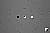 Click to see T1IFL08T.JPG