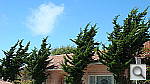 Click to see YDSC02727.JPG