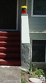 Click to see YDSC02734.JPG