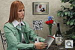Click to see T3INBMP1.JPG