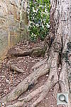 Click to see YIMG_9910.JPG