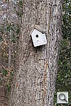 Click to see YIMG_9913.JPG