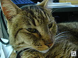 Click to see YDSC00641-noSS.JPG