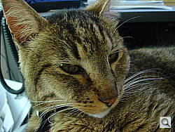 Click to see YDSC00642-SS.JPG