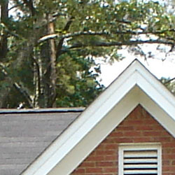 Sony DSC-T33 digital camera image