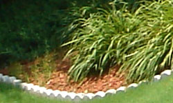 Sony DSC-T33 digital camera image