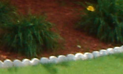 Sony DSC-T33 digital camera image