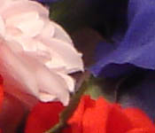 Sony DSC-T33 digital camera image